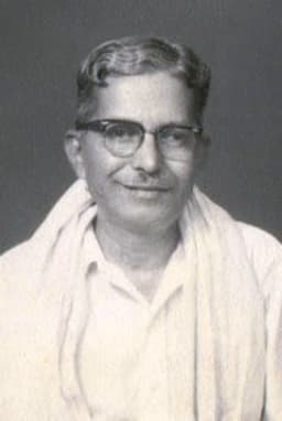 N. S. Narayana Pillai