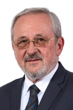 Ivica Šarić