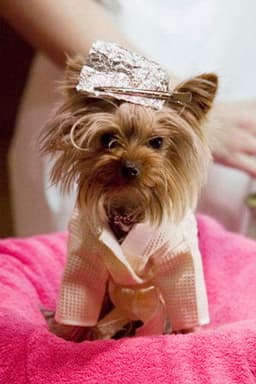 Manly "Little Pickles" Ortega