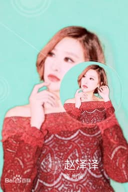 赵泽译