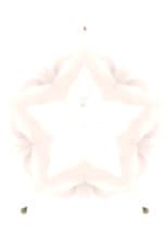 Flower of Flesh, Celestial Body