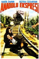 Anadolu Ekspresi