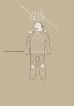 Wild Duck