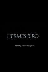 Hermes Bird