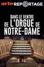Dans le ventre de l'orgue de Notre-Dame