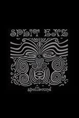 Split Enz: Spellbound