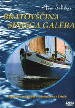 The Cyan-Blue Seagull Brotherhood