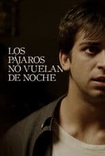 Birds Don’t Fly at Night