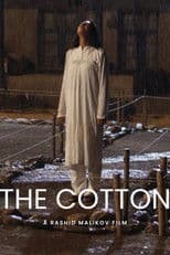 Cotton
