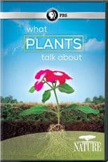 What Plants Talk About
