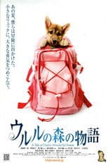 A Tale of Ululu's Wonderful Forest