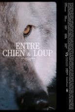 ENTRE CHIEN & LOUP