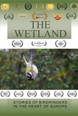 The Wetland