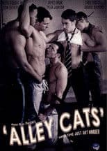 Alley Cats