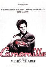 Camomille