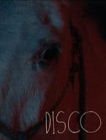 Disco