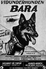 Vidunderhunden Bara