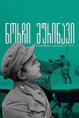 Gogi - The Young Pilot