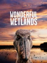 Wonderful Wetlands