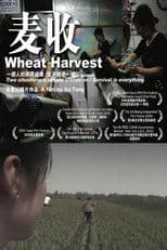 Wheat Harvest