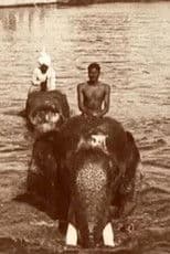 Edward Prince of Wales' Tour of India: Indore, Bhopal, Gwalior and Delhi