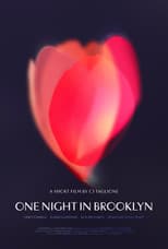 One Night in Brooklyn