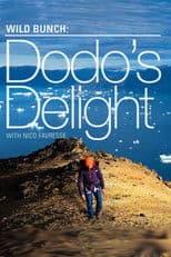 Dodo's Delight - The Adventures Of The Dodo