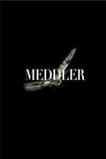 Meddler