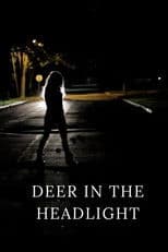 Deer in the Headlight