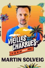 Martin Solveig en concert aux Vieilles Charrues 2025