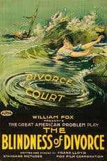 The Blindness of Divorce