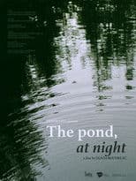 The Pond, at Night