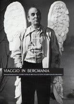 Viaggio in Bergmania