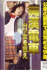 Groper Train: Target the Impossible Woman