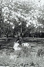 Summer Frolics and Shenanigans