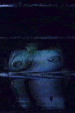 The Mistwood Incident