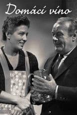 Domácí víno