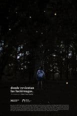 Where the fireflies burst