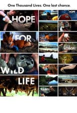 Hope for Wildlife