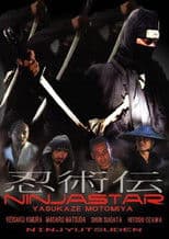 Ninjutsu Chronicles: NINJA STAR
