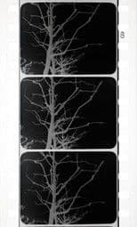 Arborescent Games: Fugue in Minor