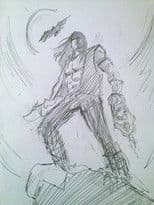 Motoqueiro Solitário