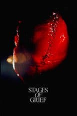 Stadier af sorg