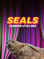 Seals - Clowns of the Sea