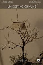 Un destino comune