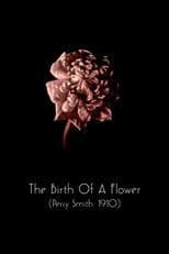 The Birth of a Flower