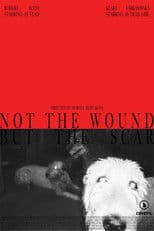 Not the Wound but the Scar