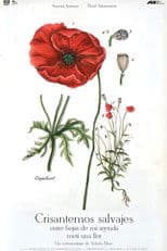 Wild Chrysanthemums Between the Pages of My Journal I Put a Flower