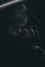 Morte all'orecchio di Van Gogh