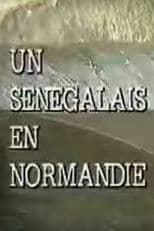 A Senegalese Man in Normandy